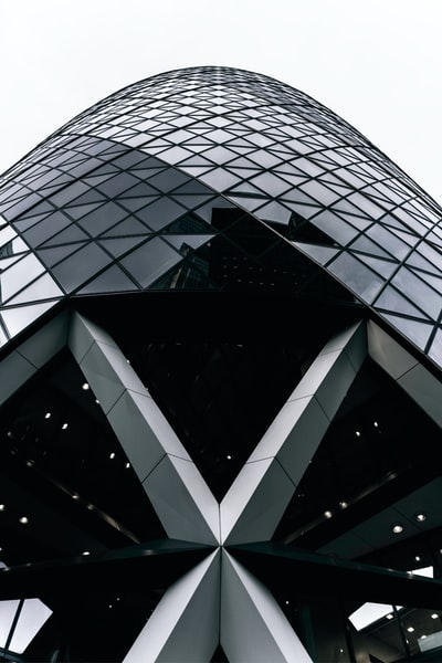 Black and white glass building
